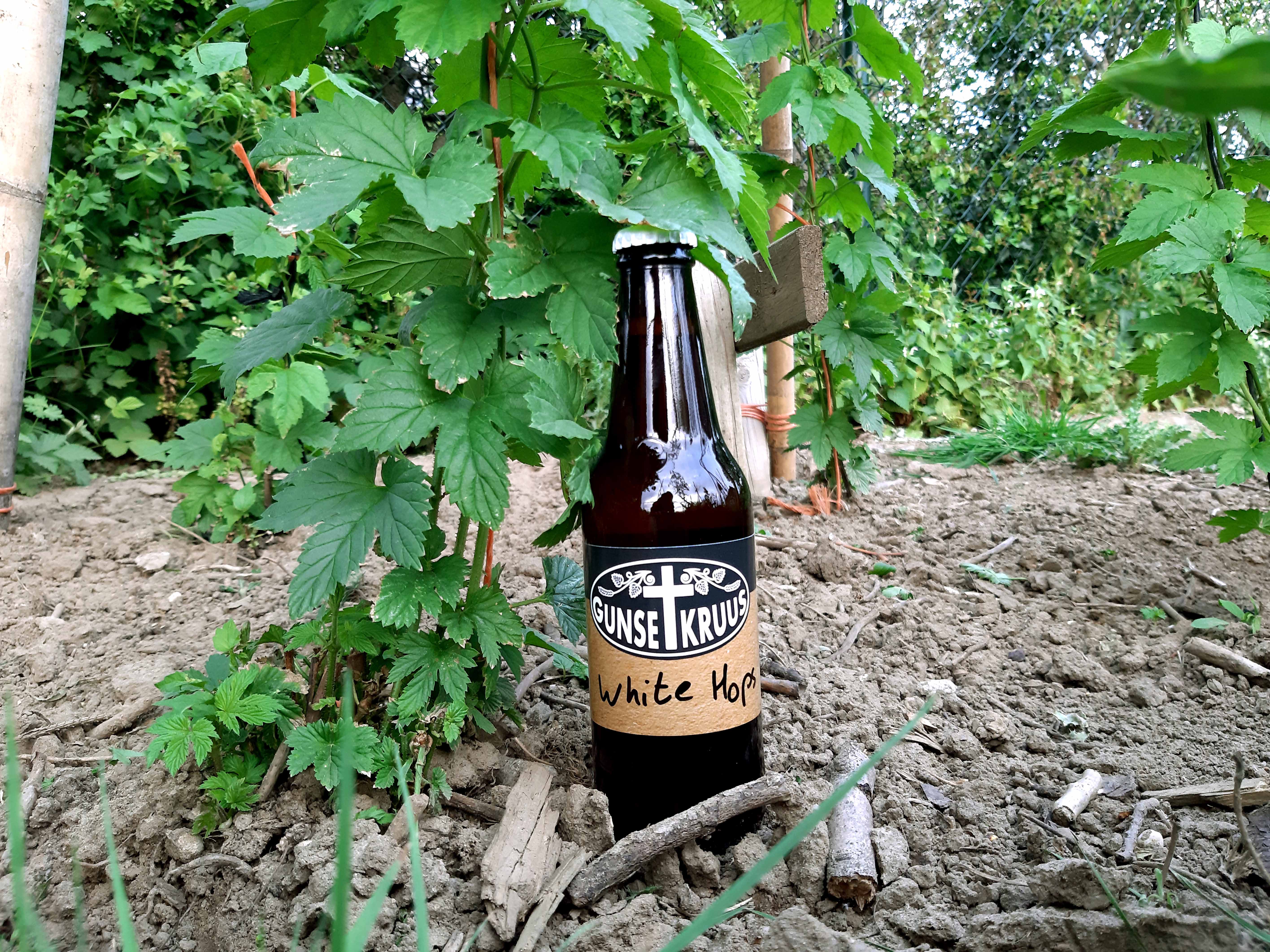 White Hops - White IPA speciaalbier van Gunse Kruus